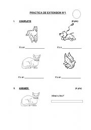 English worksheet: ITS / THEYRE (ANIMALS)