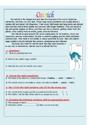 English Worksheet: Ostrich