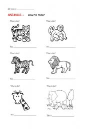 English Worksheet: Zoo Animals 