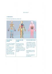 English worksheet: SCIENCE TEST GUIDE