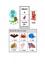 English worksheet: PHONICS: SHORT A SOUND