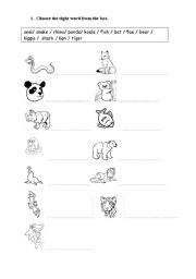 English worksheet: Animals