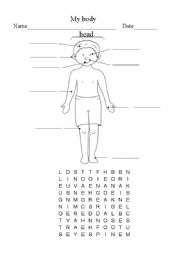 English worksheet: my body