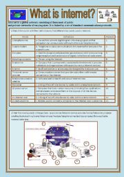 English Worksheet: The internet