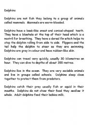 English Worksheet: Information Report Booklet on Dolphins