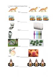 Plural forms (ch, sh, x, s, ss + es)