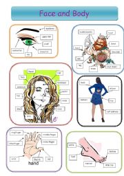 English Worksheet: Face and Body Pictionary