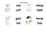 English Worksheet: animals and babies