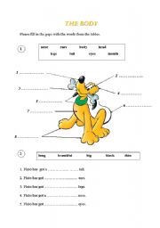 English Worksheet: The Body