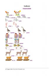 English Worksheet: plurals illustrated 2: irregular plurals