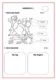 English Worksheet: TEST (BODY PARTS)