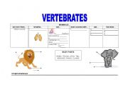 English Worksheet: Vertebrates 1 Mammals