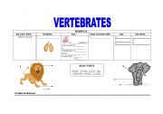 English Worksheet: Vertebrates 1 Mammals