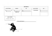 English Worksheet: vertebrates 3