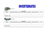 English Worksheet: invertebrates 1