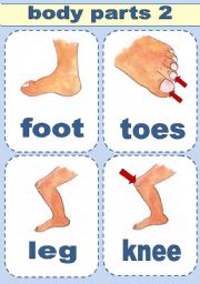 English Worksheet: BODY PARTS FLASH-CARDS PART 2