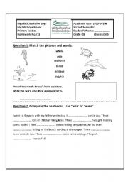 English worksheet: was were and sea animals