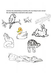 English worksheet: Animals