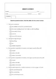 English Worksheet: Cells and Body Systems Bimonthly Exam
