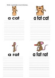 English Worksheet: cat and rat