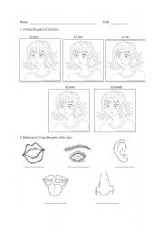 English Worksheet: PARTS OF THE FACE