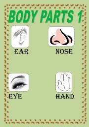 English worksheet: BODY PARTS