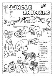 English Worksheet: JUNGLE ANIMALS WORKSHEET