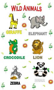 English Worksheet: Wild animals