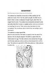 English Worksheet: Seahorses