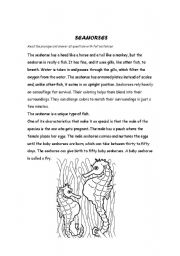 English worksheet: Seahorses