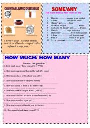 English Worksheet: some any  how much how many