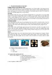 English worksheet: Great Barrier reaf