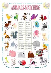 English Worksheet: Animals-Matching (1/2)