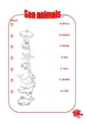 English worksheet: sea animals