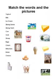 English worksheet: Match The Dairy Products 