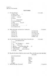 English worksheet: Test Paper