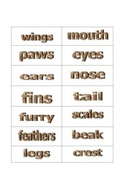 English worksheet: Parts of body of various animals