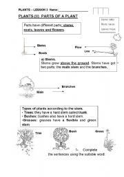 English worksheet: My favourite living things