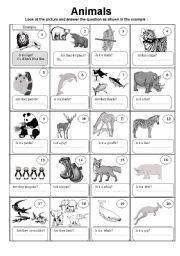 animals and the verb to be practice. and do you like questions. 2pages and answer key included