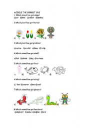 English worksheet: ANIMALS AND PLANTS