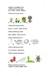 English Worksheet: ANIMALS AND PLANTS