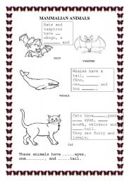 English worksheet: Mammalian Animals