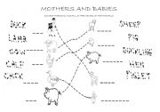 English Worksheet: Mothers and babies (farm animals)
