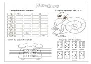 English Worksheet: NUMBERS PRACTICE