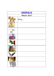 English Worksheet: Animals1
