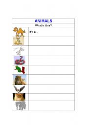 English worksheet: Animals1