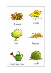 English Worksheet: Plant and Garden Flashcards