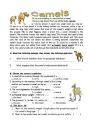 English Worksheet:  camels