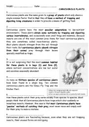 English Worksheet: Carnivorous plants reading