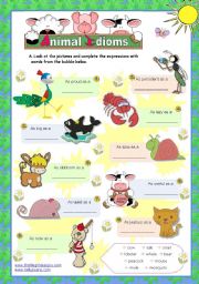 English Worksheet: Animal idioms used everyday  - for elementary/ lower intermediate students